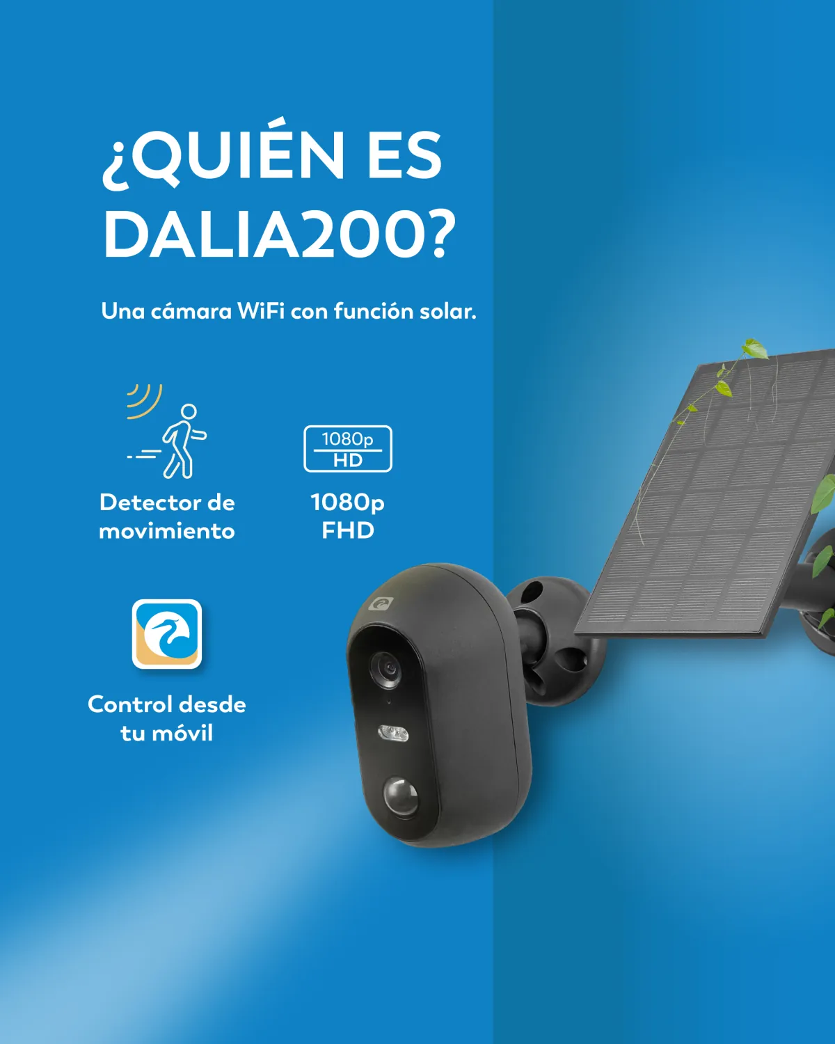 Lámina: qué es Dalia 200, una cámara WiFi con función solar.